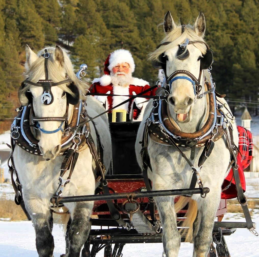 photo_2025-10-28_08-33-03