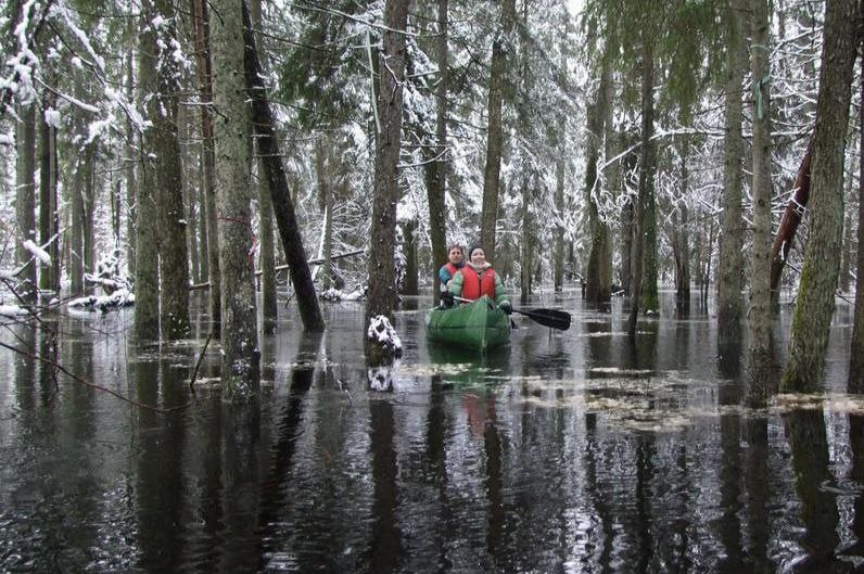 IMG_20260224_031829_332